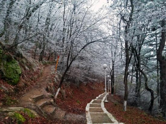 Λόφος Αγίου Παντελεήμονα