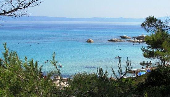 Παραλία Σάρτης