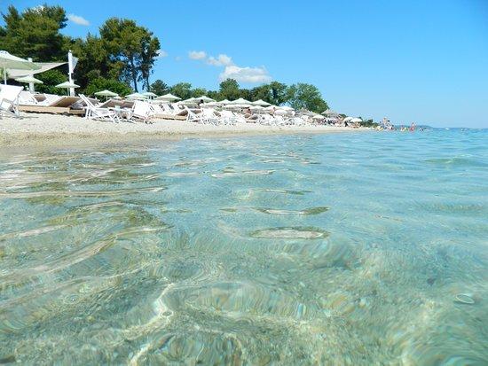 Παραλία Γλαρόκαβος