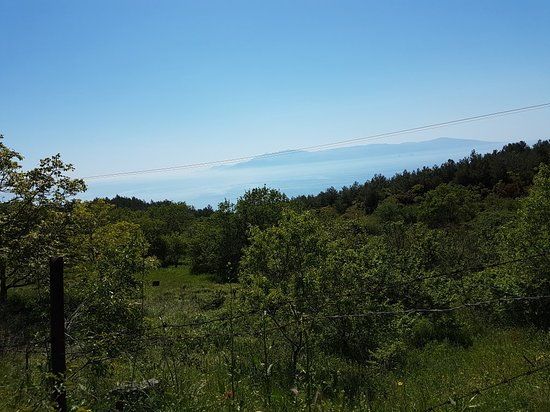 Ναυτικό Μουσείο
