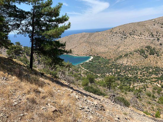 Παραλία Βρασνών